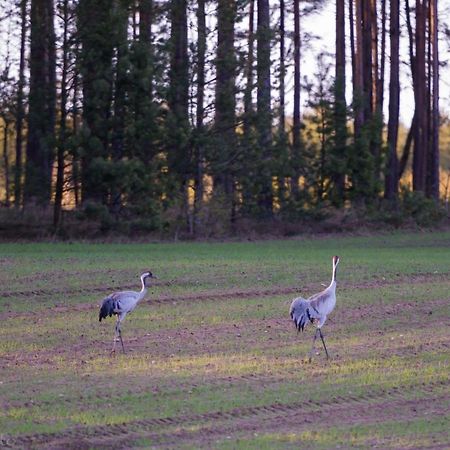 Вілла Kaszubska Odskocznia Ostoja Bukowo Borowy Mlyn Екстер'єр фото