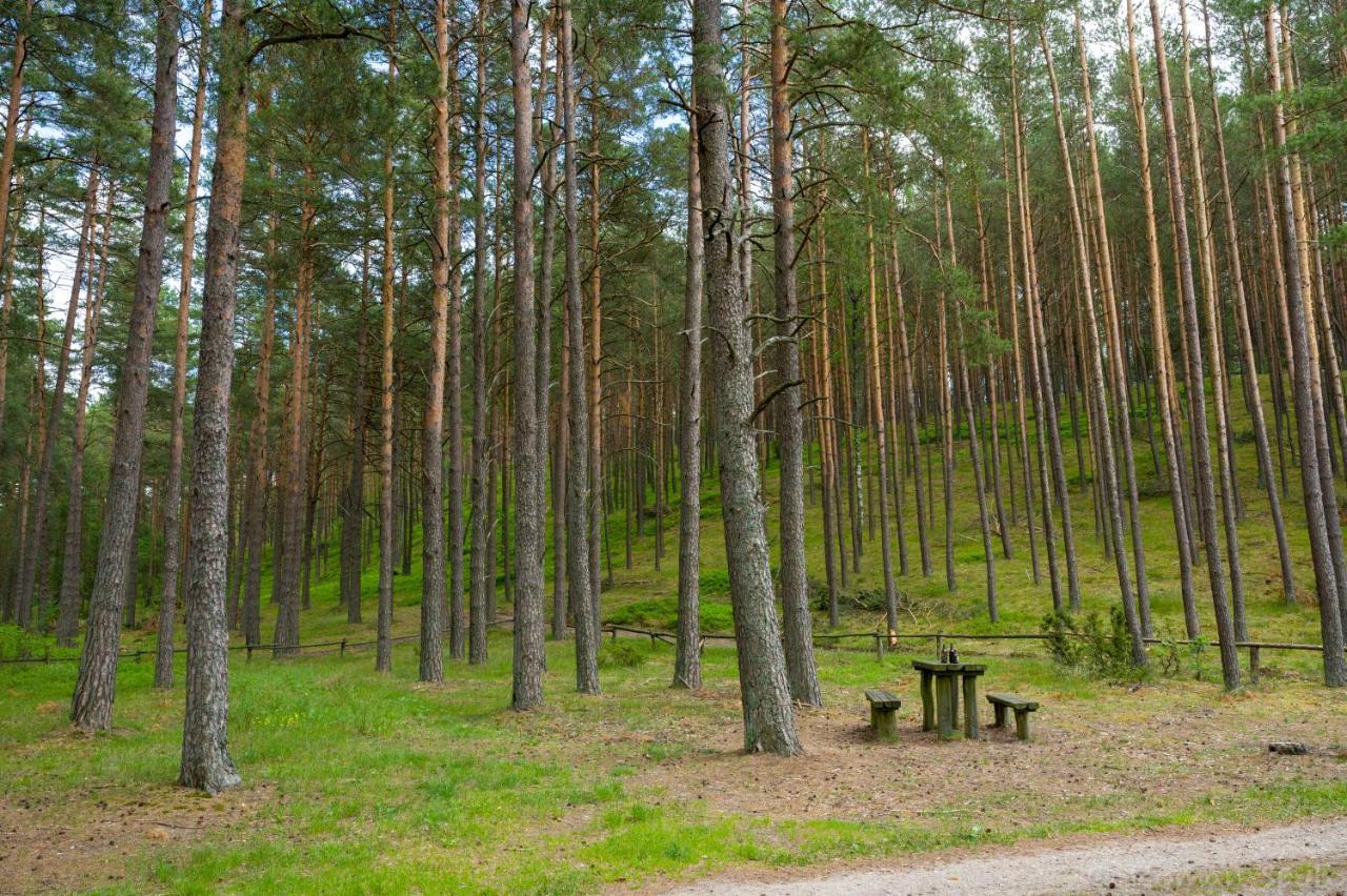 Вілла Kaszubska Odskocznia Ostoja Bukowo Borowy Mlyn Екстер'єр фото